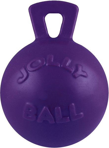 Jolly Pets Tug-n-Toss Dog Toy， Purple - Intensery