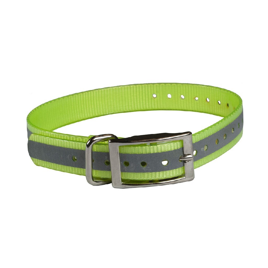 The Buzzard's Roost Reflective Collar Strap 1