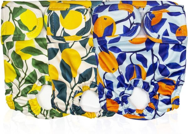 Pet Magasin Reusable Washable Dog Diapers， 3 count - Intensery