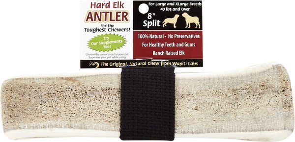 Wapiti Labs Split Elk Antlers Dog Chews - Intensery