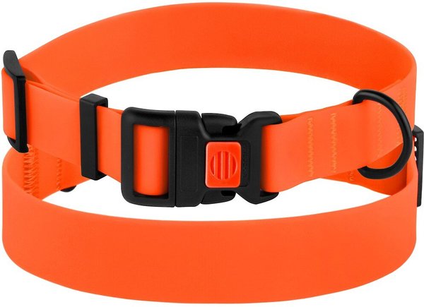 CollarDirect Waterproof PVC Coated Dog Collar - Intensery