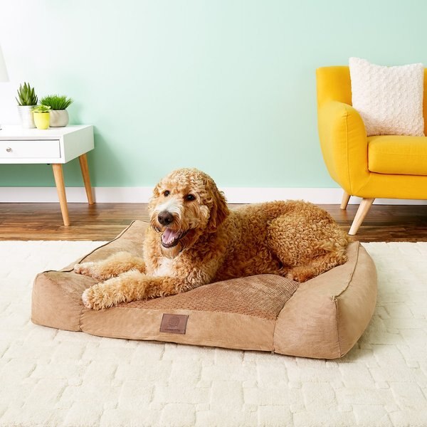 American Kennel Club AKC Extra Large Memory Foam Pillow Dog Bed w/Removable Cover - Intensery