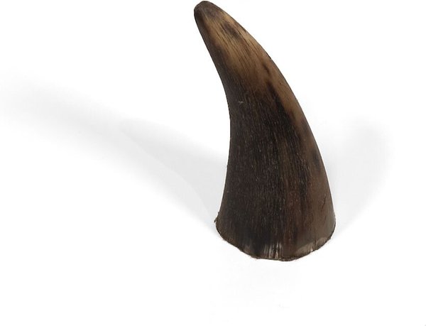 Little Loyals Grade AA Premium Cattle Horn Dog Chew， Small - Intensery