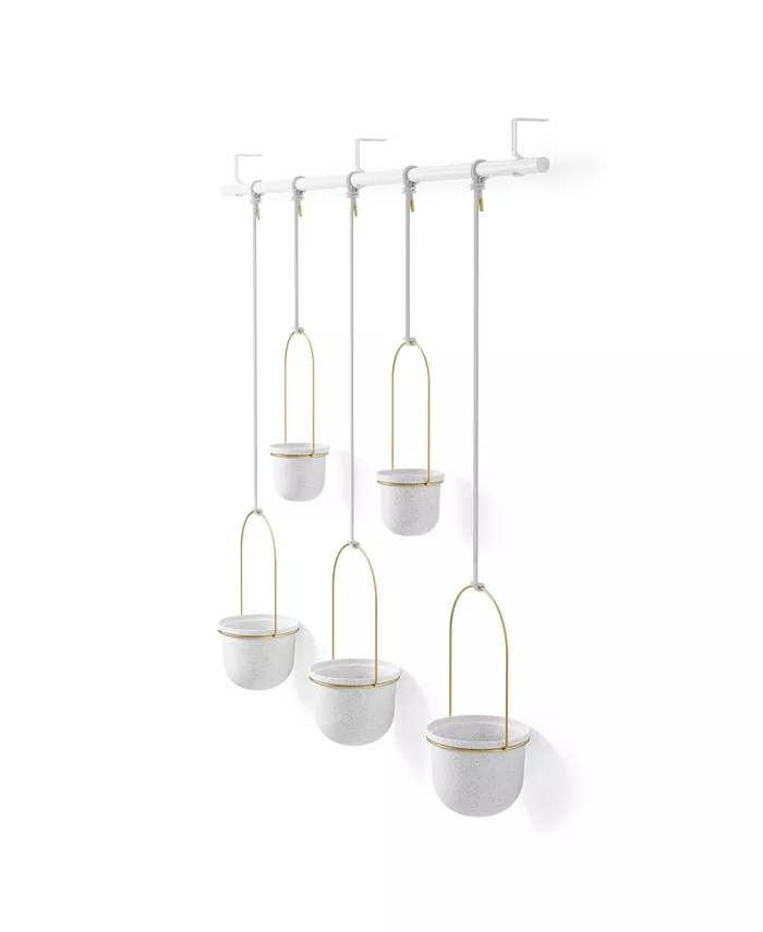 Umbra DNUTriflora Hanging Planter， Set of 5 - Intensery