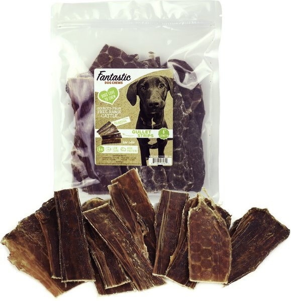 Fantastic Dog Chews Beef Gullet Strips Dog Chews - Intensery