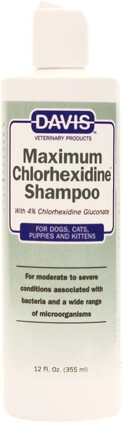 Davis Maximum Chlorhexidine Dog and Cat Shampoo， 12-oz bottle - Intensery