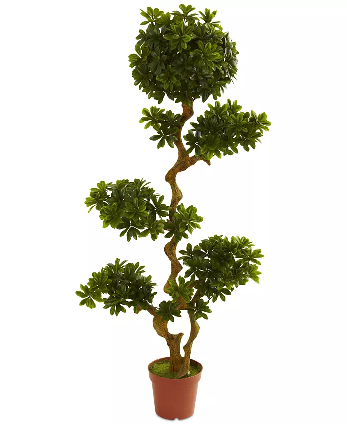 Nearly Natural 5' Artificial Pittosporum UV-Resistant Indoor Outdoor Tree - Intensery