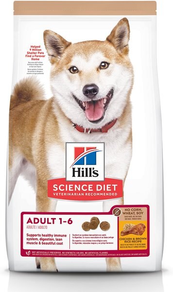 Hill's Science Diet Adult 1-6 Chicken and Brown Rice Recipe Dry Dog Food - Intensery