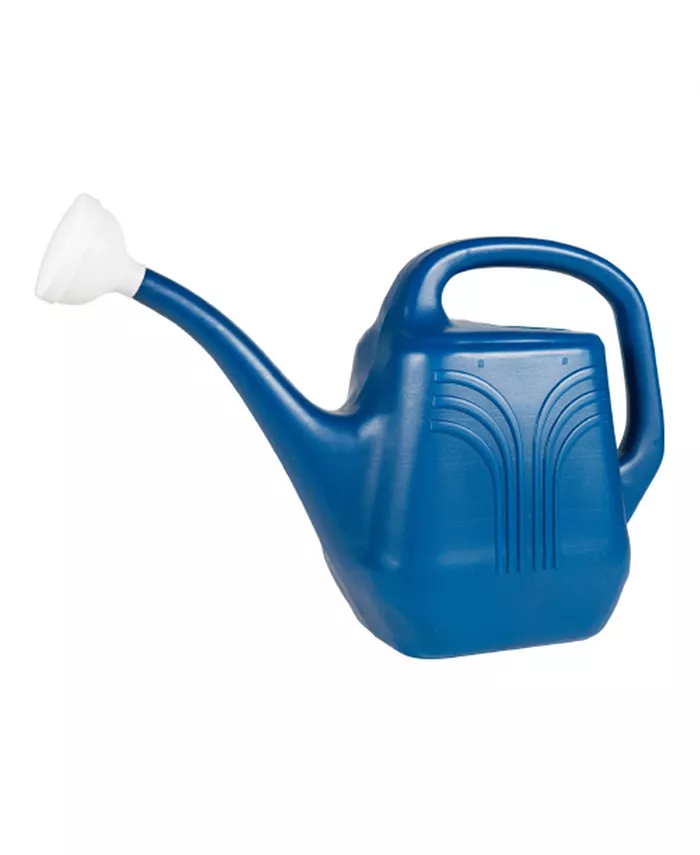 Bloem Classic Plastic Watering Can， Classic Blue， 2 Gallons - Intensery