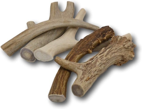 Top Dog Chews Premium Large Antler Dog Treats - Intensery