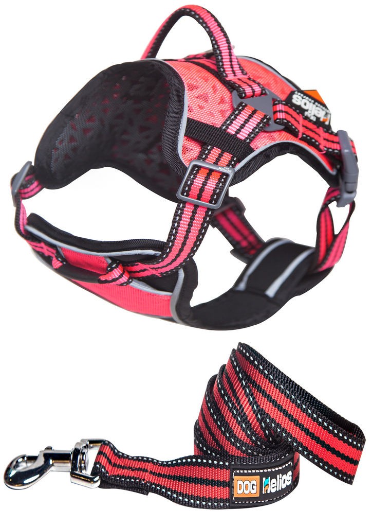 Helios Dog Chest Compression Pet Harness and Leash Combo in Pink (Medium) - Pet Life HA6PKMD - Intensery