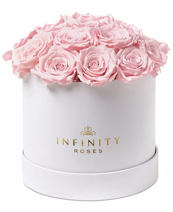 Infinity Roses Round Box of 16 Pink Real Roses， Preserved To Last Over A Year - Intensery