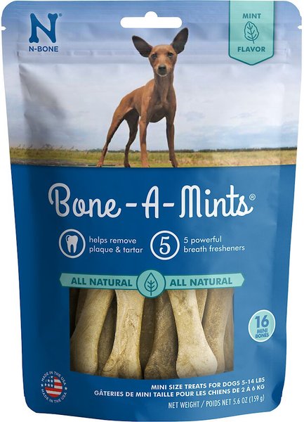 N-Bone Bone-A-Mints Mint Flavored Mini Dental Dog Treats - Intensery