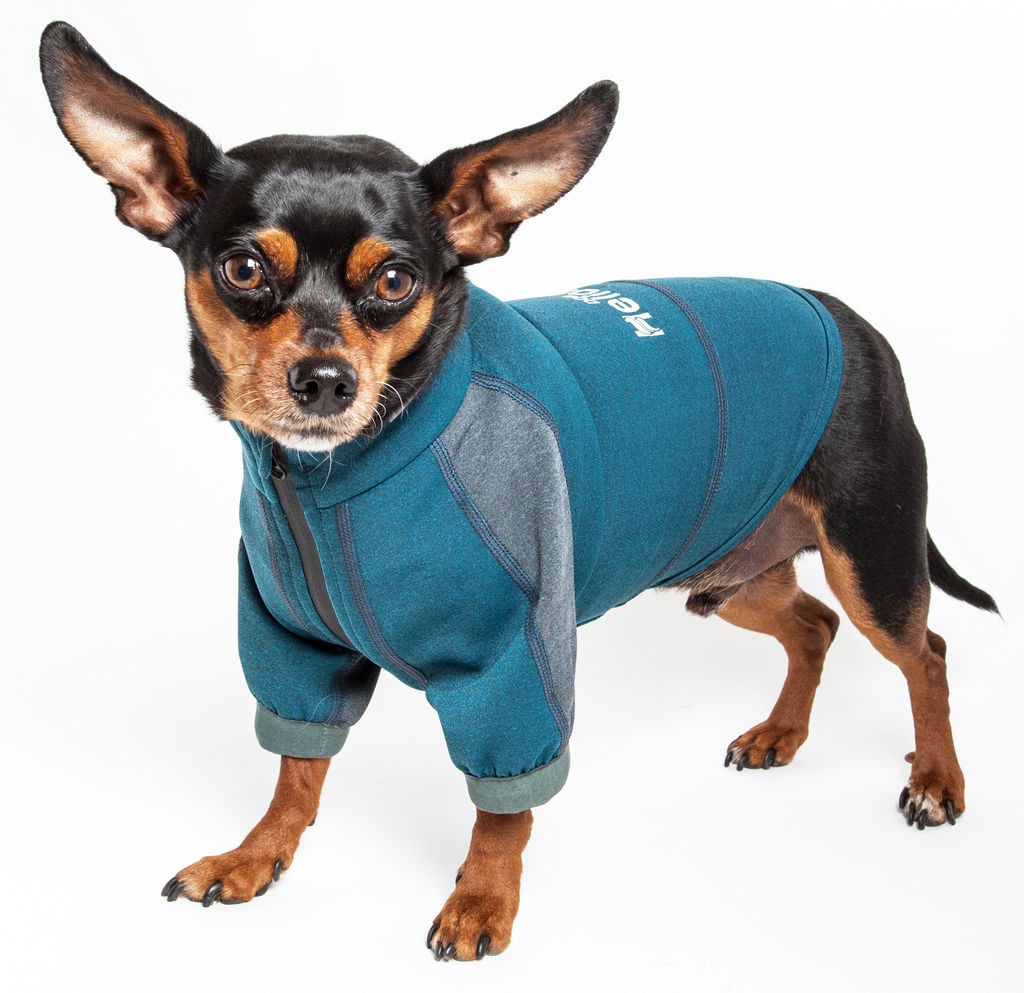 Dog Helios 'Eboneflow' Mediumweight 4-Way-Stretch Flexible And Breathable Performance Dog Yoga T-Shirt in Ocean Blue / Grey (X-Large) - Pet Life TSHL6 - Intensery