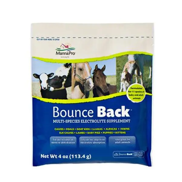 Manna Pro BounceBack Electrolyte - Intensery