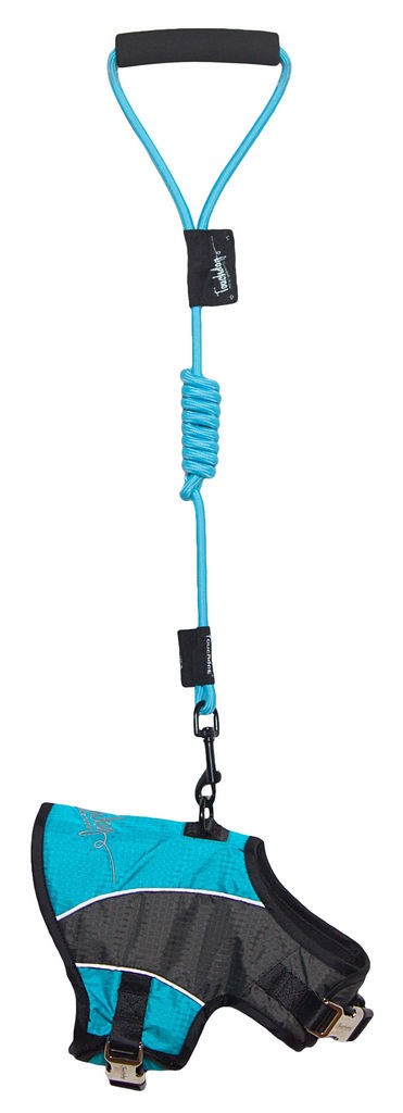 Touchdog Reflective-Max 2-in-1 Premium Performance Adjustable Dog Harness and Leash in Turquoise Blue， Charcoal Grey (Small) - Pet Life HA21LBLSM - Intensery