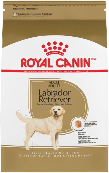Royal Canin Breed Health Nutrition Labrador Retriever Adult Dry Dog Food - Intensery