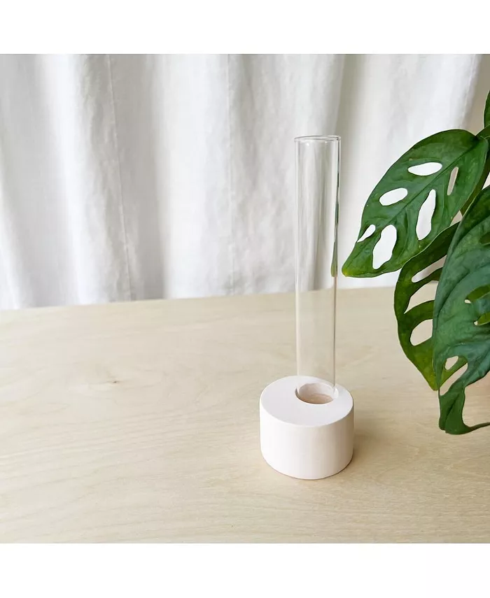 Tierra Sol Studio Plant Propagation Vessel - White 6.5 in - Intensery