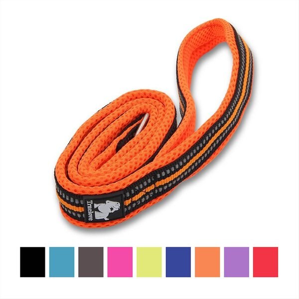 Chai's Choice Premium Outdoor Adventure Padded 3M Polyester Reflective Dog Leash - Intensery