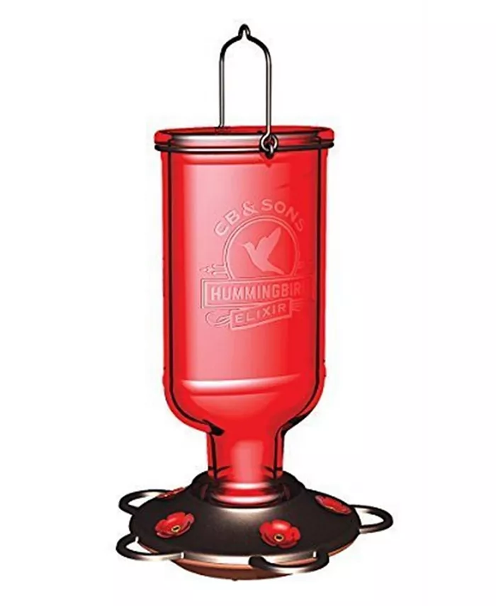 More Birds Hummingbird Feeder 13 Oz Nectar Capacity - Intensery