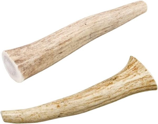 HOTSPOT PETS 7-10-inch All Natural Large Whole Deer Antler Chews Dog Treats - Intensery