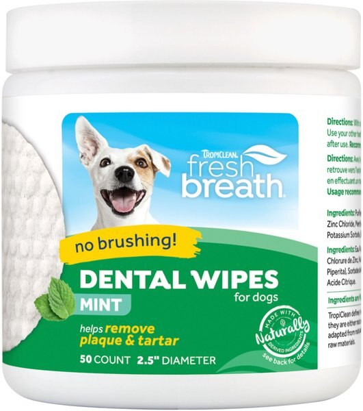 TropiClean Fresh Breath Mint Dog Dental Wipes - Intensery