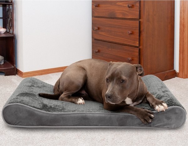 FurHaven Minky Plush Luxe Lounger Cooling Gel Dog Bed w/Removable Cover - Intensery