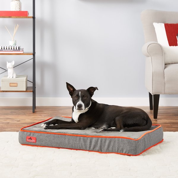 Brindle Waterproof Orthopedic Pillow Cat and Dog Bed w/Removable Cover - Intensery