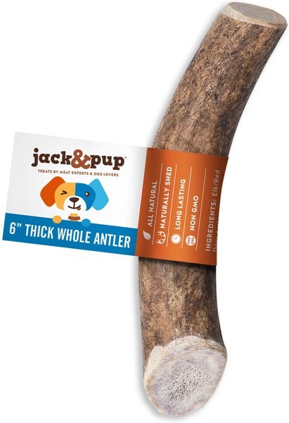 Jack and Pup Medium Whole Elk Antler Extra Thick Dog Chew Treats， 6-in - Intensery