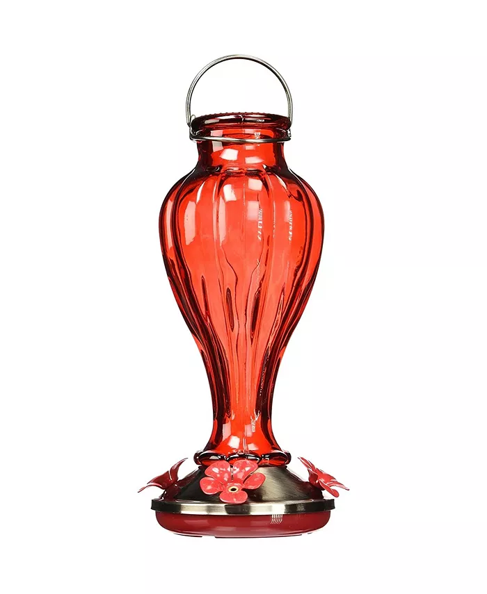 More Birds Hummingbird Feeder Glass Red 20-Oz Nectar Capacity Blossom - Intensery