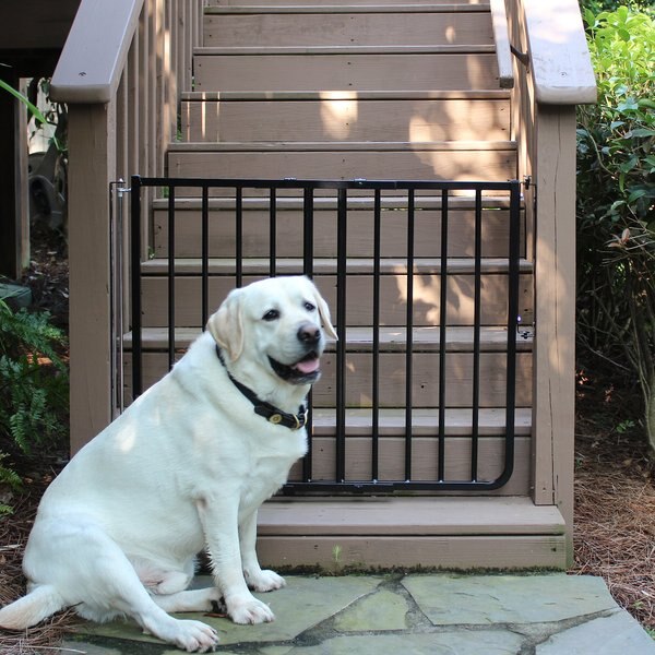 Cardinal Gates Outdoor Dog Gate - Intensery