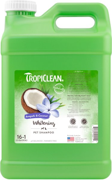 TropiClean Whitening Awapuhi and Coconut Shampoo - Intensery