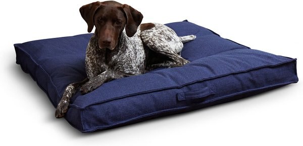 Happy Hounds Milo Square Tufted Pillow Dog Bed - Intensery