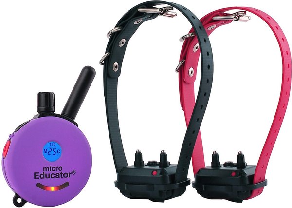 Educator By E-Collar Technologies Micro Educator 1/3 Mile Range Waterproof Dog Training Collar - Intensery