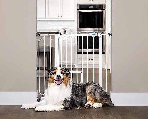 Carlson Pet Products Extra Wide Walk-Thru Gate with Pet Door - Intensery