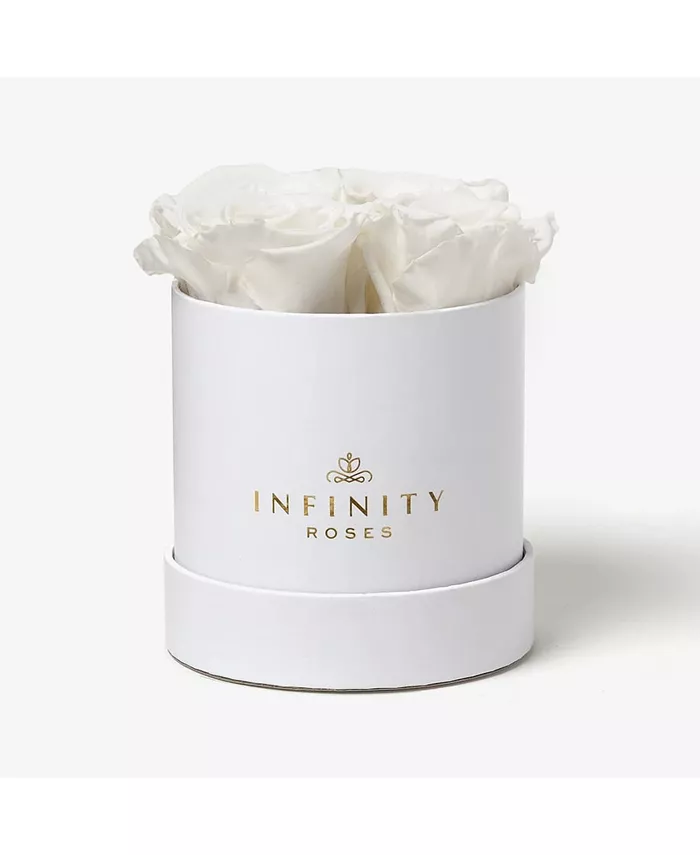 Infinity Roses Round Box of 4 White Real Roses Preserved To Last Over A Year - Intensery