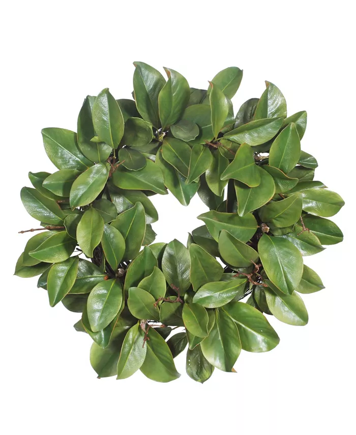 Winward Silks Permanent Botanicals Magnolia Leaf Twig Wreath - Intensery