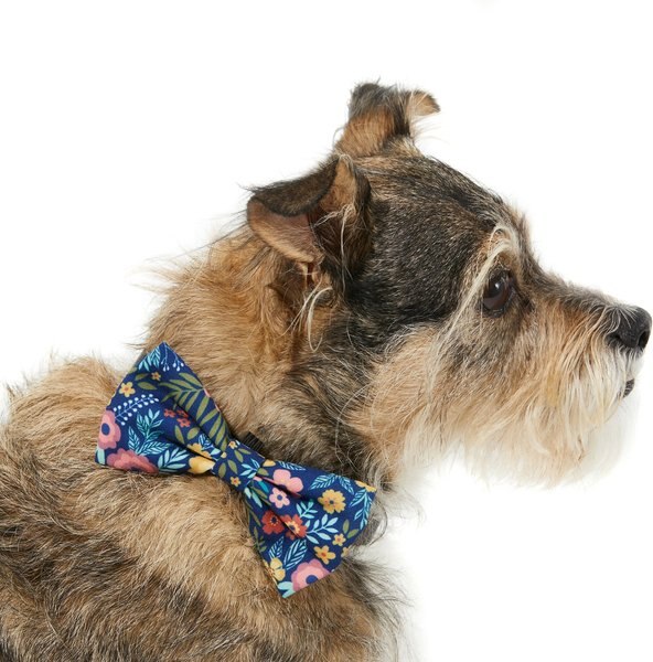 Frisco Fashion Bow， Tropical Floral - Intensery