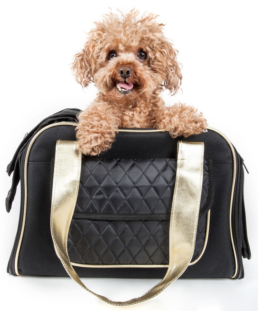 Pet Life Airline Approved Mystique Fashion Pet Carrier in Black (One Size) - Pet Life B22BKMD - Intensery