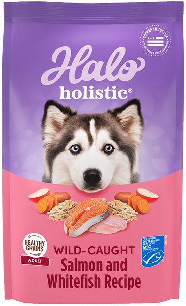 Halo Holistic Complete Digestive Health Wild-Caught Salmon and Whitefish Dog Food Recipe Adult Dry Dog Food - Intensery