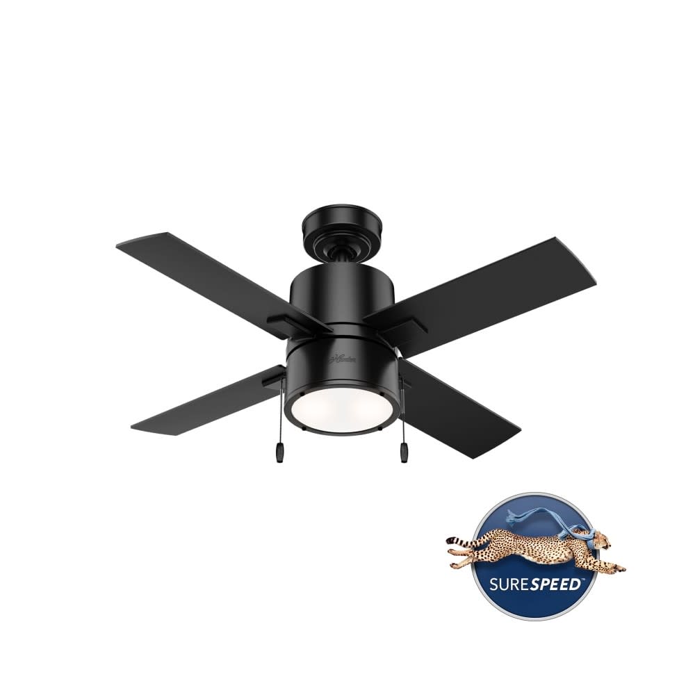 Hunter Beck Ceiling Fan 42 Matte Black/Greyed Walnut - Intensery