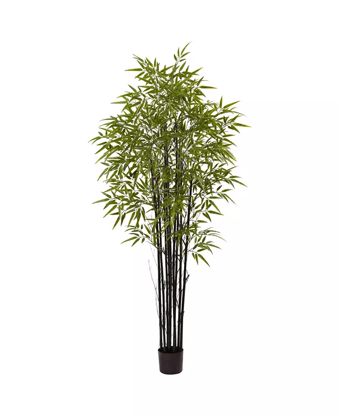 Nearly Natural 6' Indoor Outdoor UV-Resistant Artificial Black Bamboo Tree - Intensery