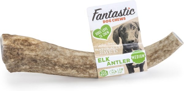 Fantastic Dog Chews Elk Antler Dog Treat - Intensery
