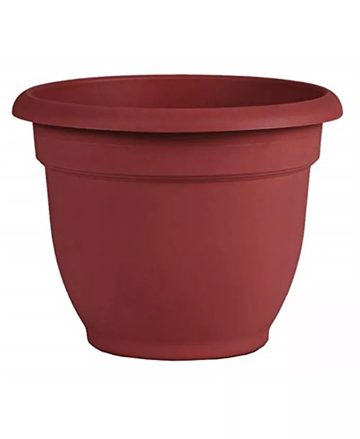 Bloem AP0813 Ariana Planter with Self-Watering Disk， Burnt Red - 8 inches - Intensery