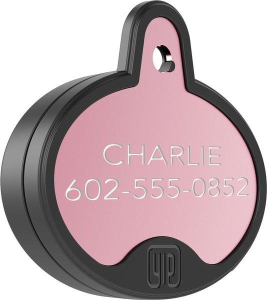 YIP Smart Tag Dog ID Tag - Works with  Galaxy Phones， Oval - Intensery