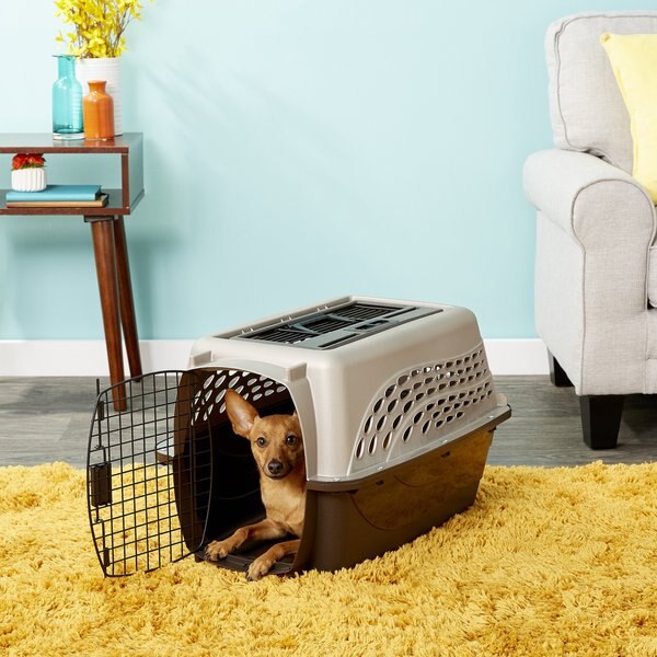 Petmate Two Door Top Load Dog and Cat Kennel - Intensery