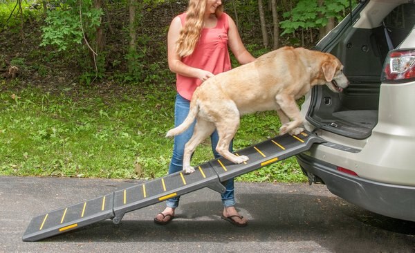 Pet Gear Reflective Extra Wide Foldable Dog Car Ramp - Intensery