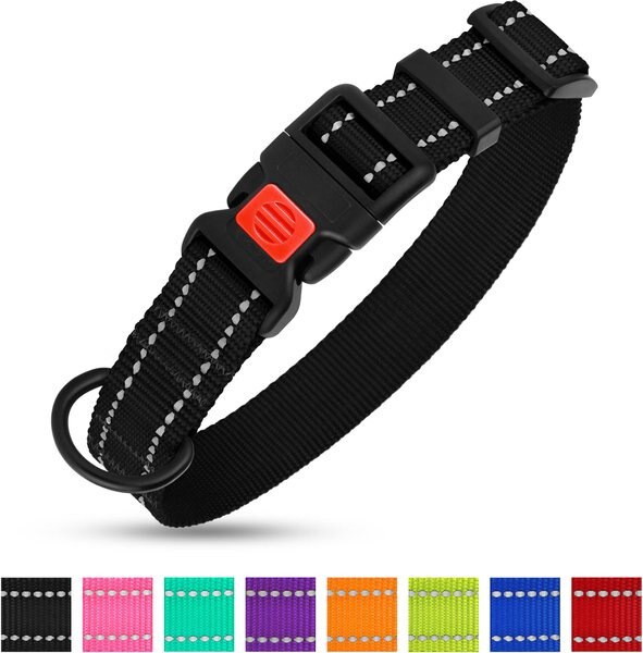 CollarDirect Adjustable Reflective Nylon Dog Collar - Intensery