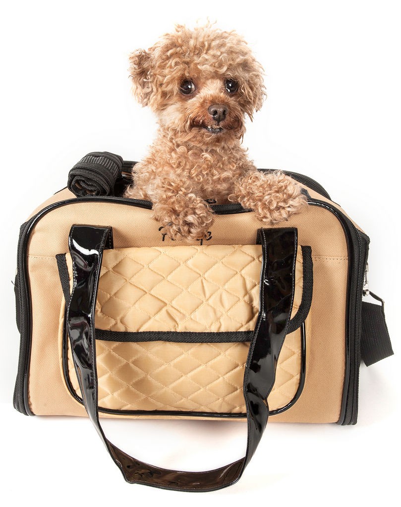 Pet Life Airline Approved Mystique Fashion Pet Carrier in Khaki (One Size) - Pet Life B22BGMD - Intensery