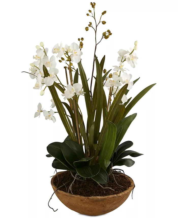 Uttermost Moth Orchid Planter - Intensery